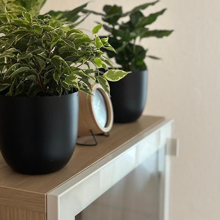 Appartement Elena Linz Dış mekan fotoğraf